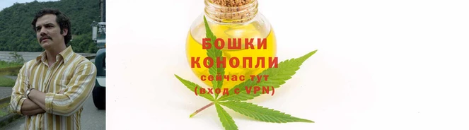 COCAINE Дмитриев