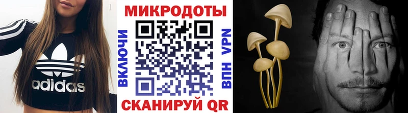 Псилоцибиновые грибы ЛСД  hydra ССЫЛКА  Щучье 